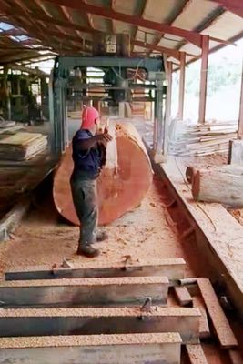 2000mm Portable Swing Blade Sawmill DS2000 Swing Arm Sawmill