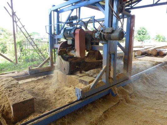 Log Cutting Saw Swing Twin Blade Sawmill Portable Circular Saw Mill Machine Dia 760mm