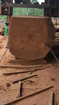Automatic Large Bandsaw Mill MJ2500 Wood Cutting Sawmill Machine,MJ 2500 Tree Saw Machine Wood Cutting Machine